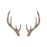 deer antler logo